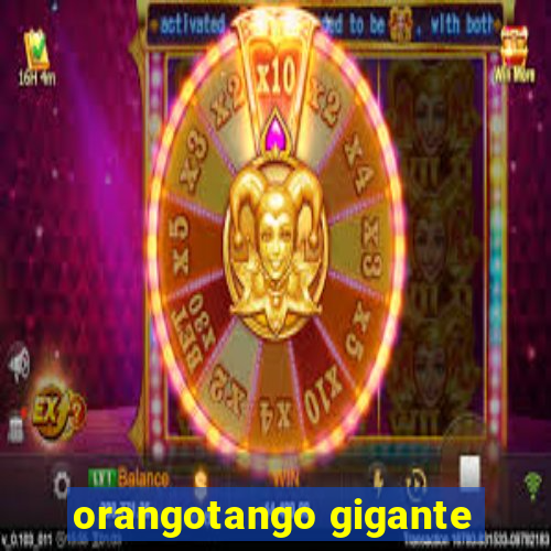 orangotango gigante